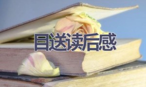 目送读后感(18篇范文）