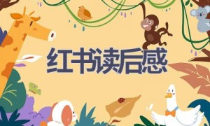 红书读后感(15篇范文）
