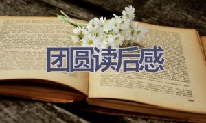 团圆读后感(6篇范文）