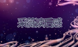 采薇读后感(5篇范文）