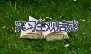 实习生观后感(11篇范文）