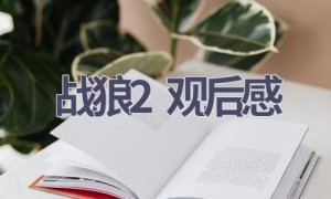 战狼2观后感(15篇范文）