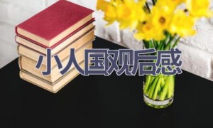 小人国观后感(15篇范文）