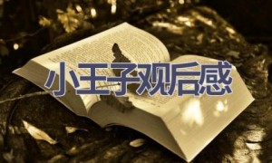 小王子观后感(10篇范文）