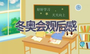 冬奥会观后感(15篇范文）