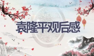 袁隆平观后感(11篇范文）