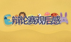 辩论赛观后感(15篇范文）