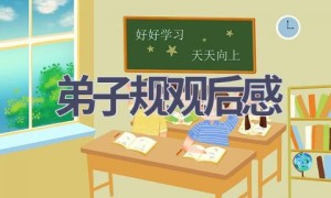 弟子规观后感(11篇范文）