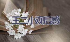王二小观后感(12篇范文）
