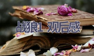 战狼1观后感(18篇范文）