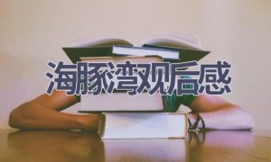 海豚湾观后感(6篇范文）