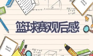篮球赛观后感(17篇范文）