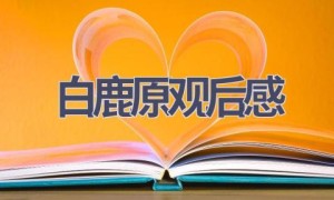 白鹿原观后感(12篇范文）