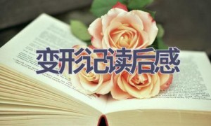 变形记读后感(21篇范文）