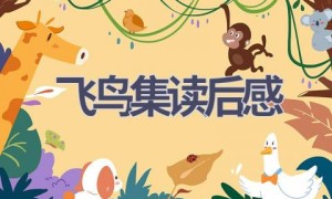 飞鸟集读后感(13篇范文）