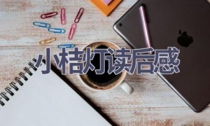 小桔灯读后感(11篇范文）