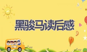 黑骏马读后感(14篇范文）