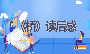 《桥》读后感(17篇范文）