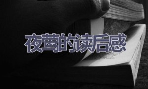 夜莺的读后感(13篇范文）