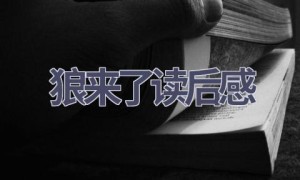 狼来了读后感(5篇范文）