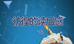 彷徨的读后感(16篇范文）