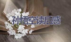 孙悟空读后感(14篇范文）