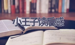 小王子读后感(13篇范文）