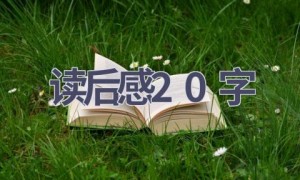 读后感20字(10篇范文）