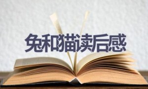 兔和猫读后感(7篇范文）