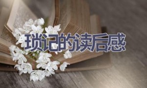 琐记的读后感(8篇范文）