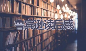 鲁宾逊读后感(16篇范文）