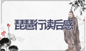 琵琶行读后感(9篇范文）