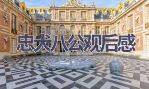 忠犬八公观后感(11篇范文）