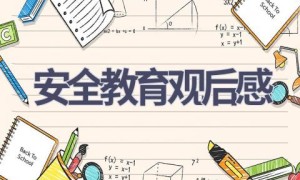 安全教育观后感(15篇范文）