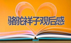 骆驼祥子观后感(20篇范文）