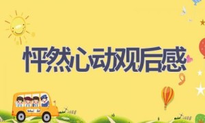 怦然心动观后感(16篇范文）