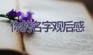 你的名字观后感(14篇范文）
