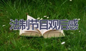 法制节目观后感(14篇范文）