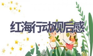 红海行动观后感(19篇范文）