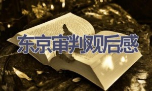 东京审判观后感(12篇范文）