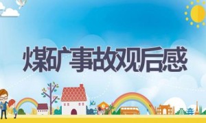 煤矿事故观后感(12篇范文）