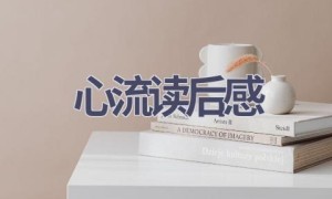 心流读后感(15篇范文）