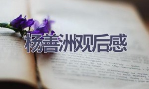 杨善洲观后感(17篇范文）