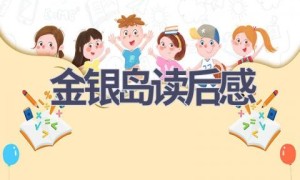 金银岛读后感(13篇范文）