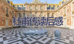 杜甫传读后感(8篇范文）
