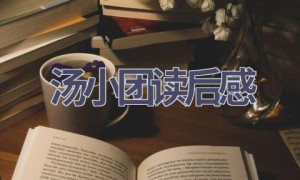 汤小团读后感(10篇范文）