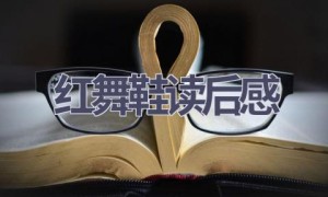 红舞鞋读后感(14篇范文）