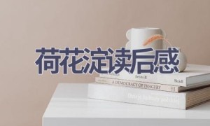 荷花淀读后感(10篇范文）