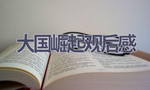 大国崛起观后感(16篇范文）