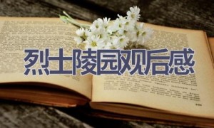 烈士陵园观后感(19篇范文）